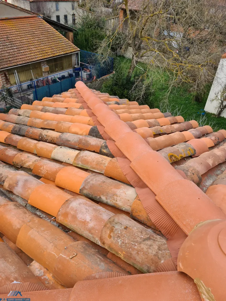 Artisan charpentier couvreur couverture toit angle